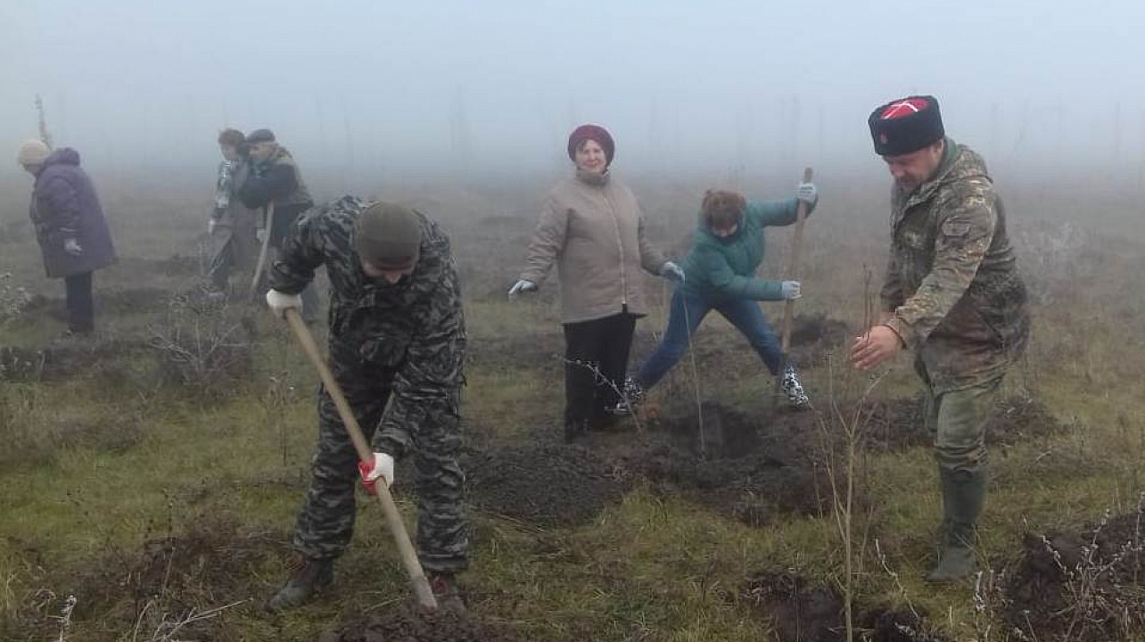 В станице Старокорсунской проходит осенний этап акции «Краснодар 10000 деревьев»