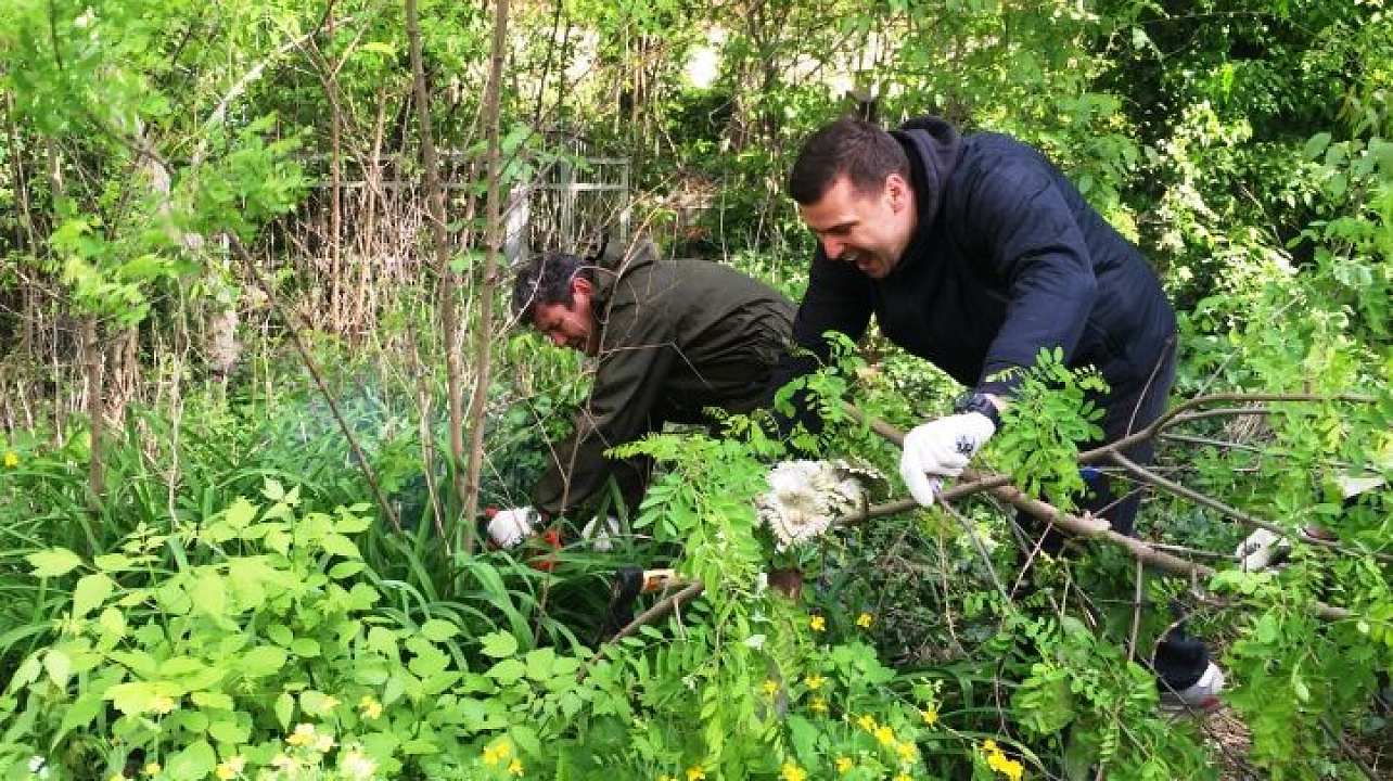 Субботник на Всесвятском кладбище