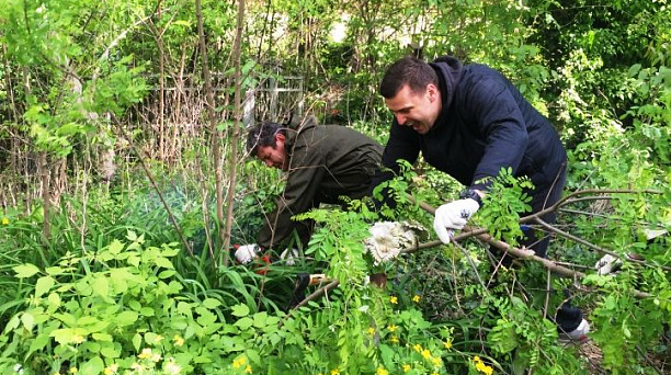 В Западном округе продолжают наводить порядок