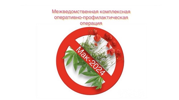 В Краснодаре проходит межведомственная операция по борьбе незаконным оборотом наркотиков «Мак-2024»