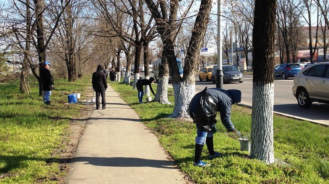 В  Краснодаре подведены итоги Всероссийского экологического  субботника
