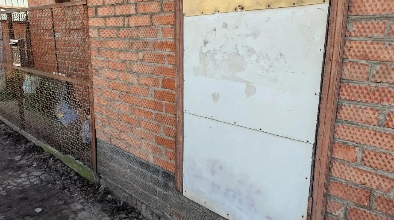 Фото: Молодежный Совет Карасунского округа