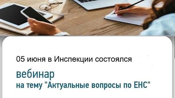 05 июня 2024 в Инспекции состоялся очередной вебинар