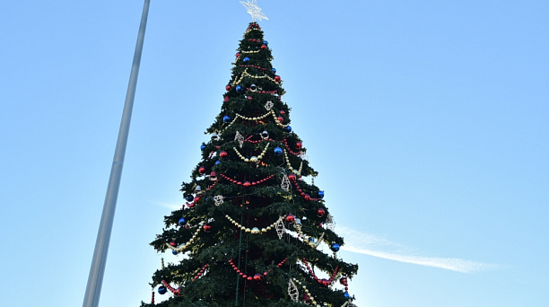 В Краснодаре украсили главную городскую ёлку