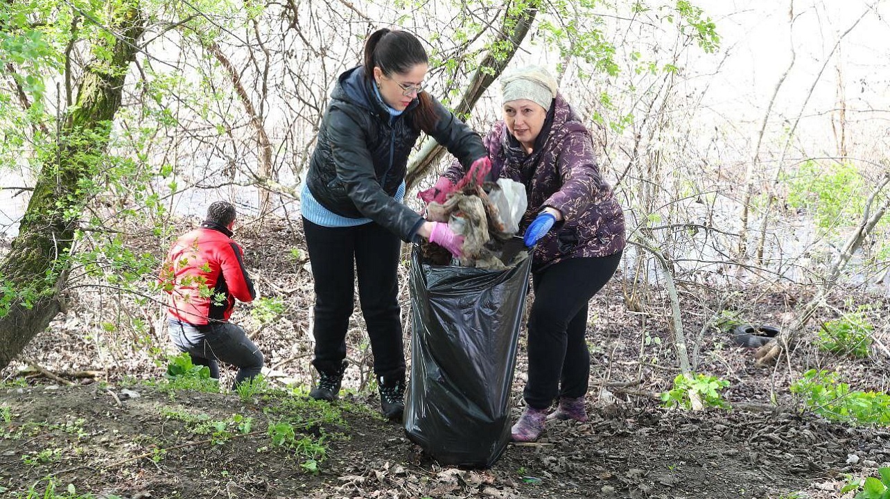 Фото: Пресс-служба администрации Краснодара
