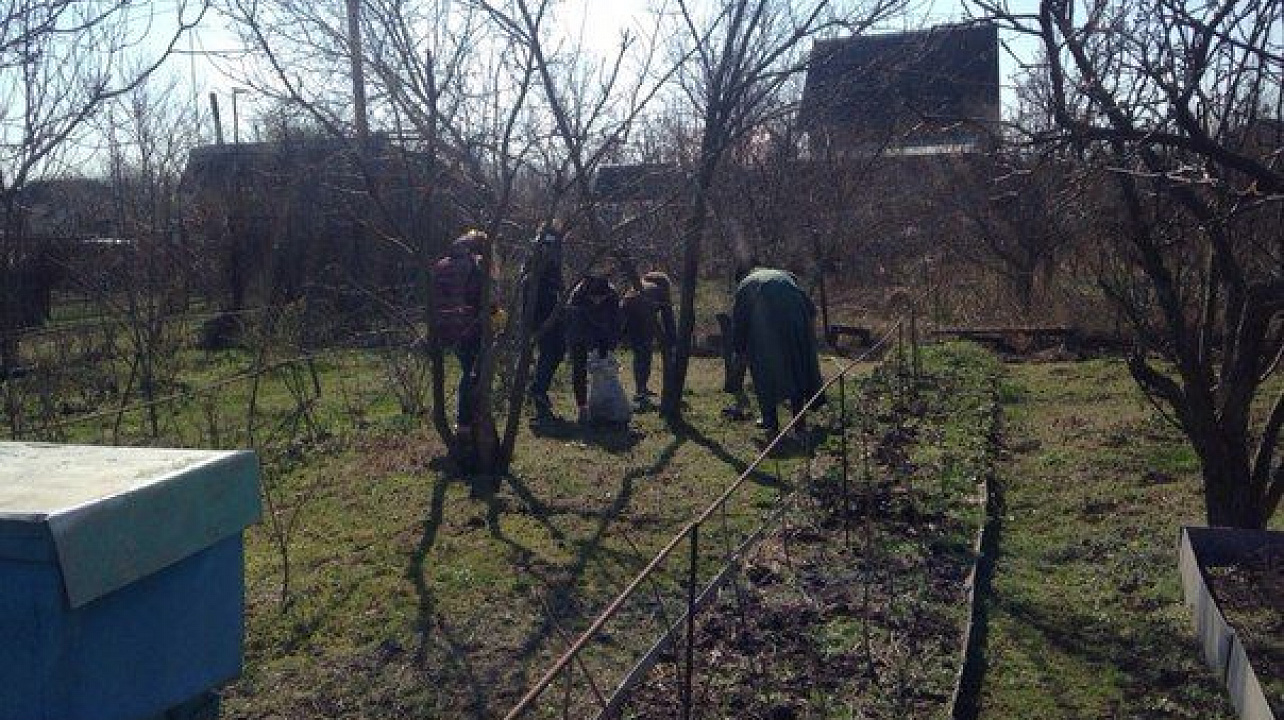 Члены молодежного Совета при главе Прикубанского округа оказали помощь ветерану войны