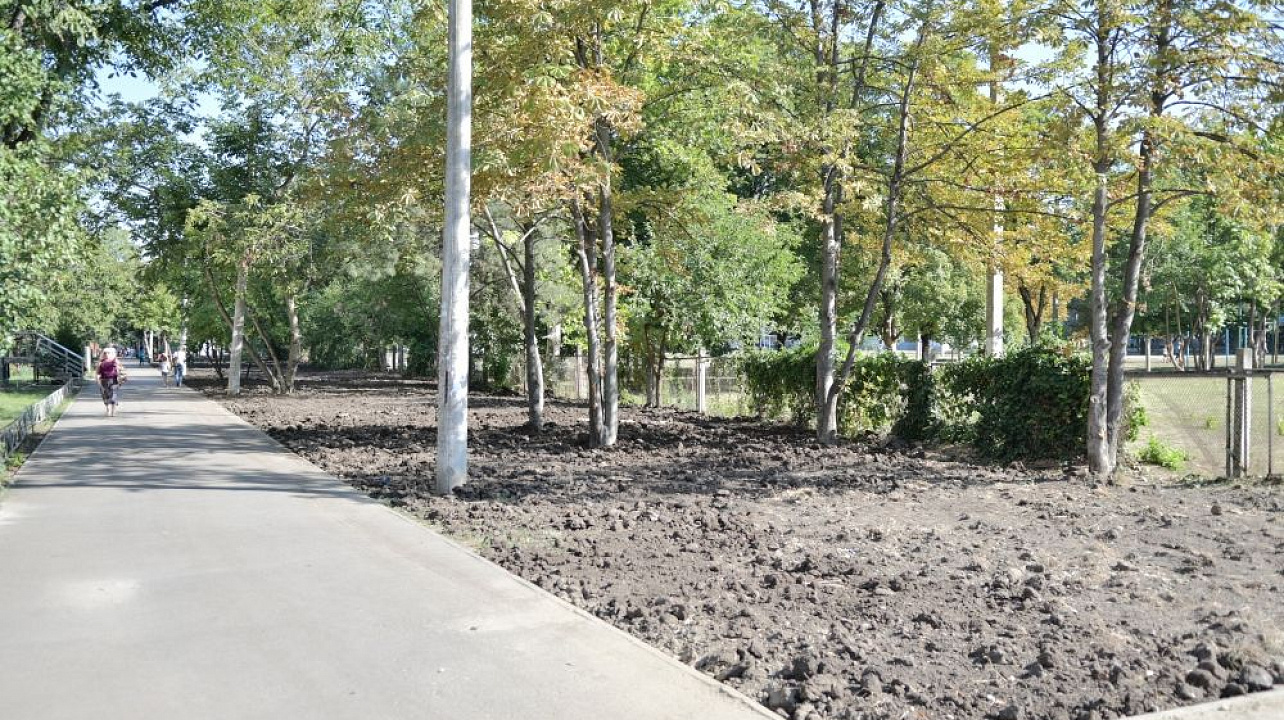В Краснодаре в сентябре стартуют работы по озеленению реконструированного бульвара «Приозёрный»