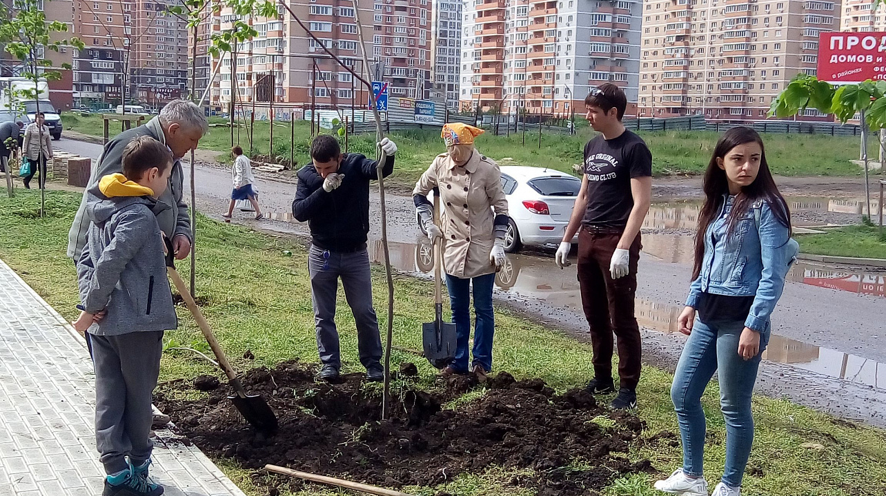 На Бульваре Памяти Чернобыльцев высадили деревья