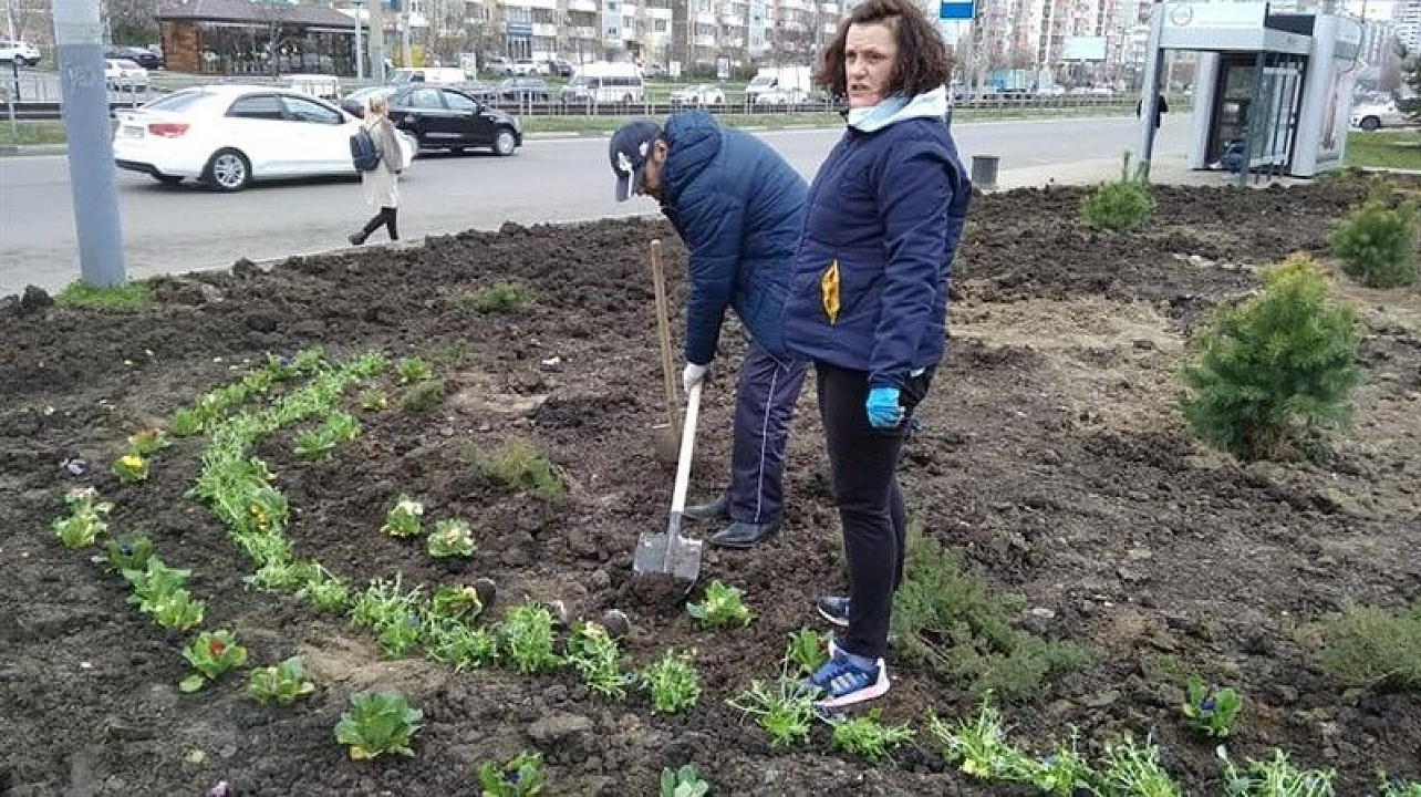 Краснодару - 10 тысяч деревьев.jpg