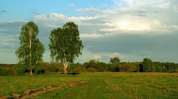 Участки для многодетных 