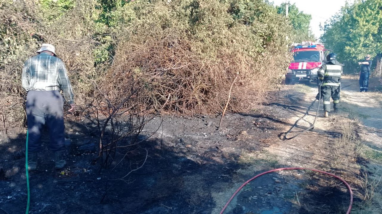 Фото: Пресс-служба администрации Краснодара