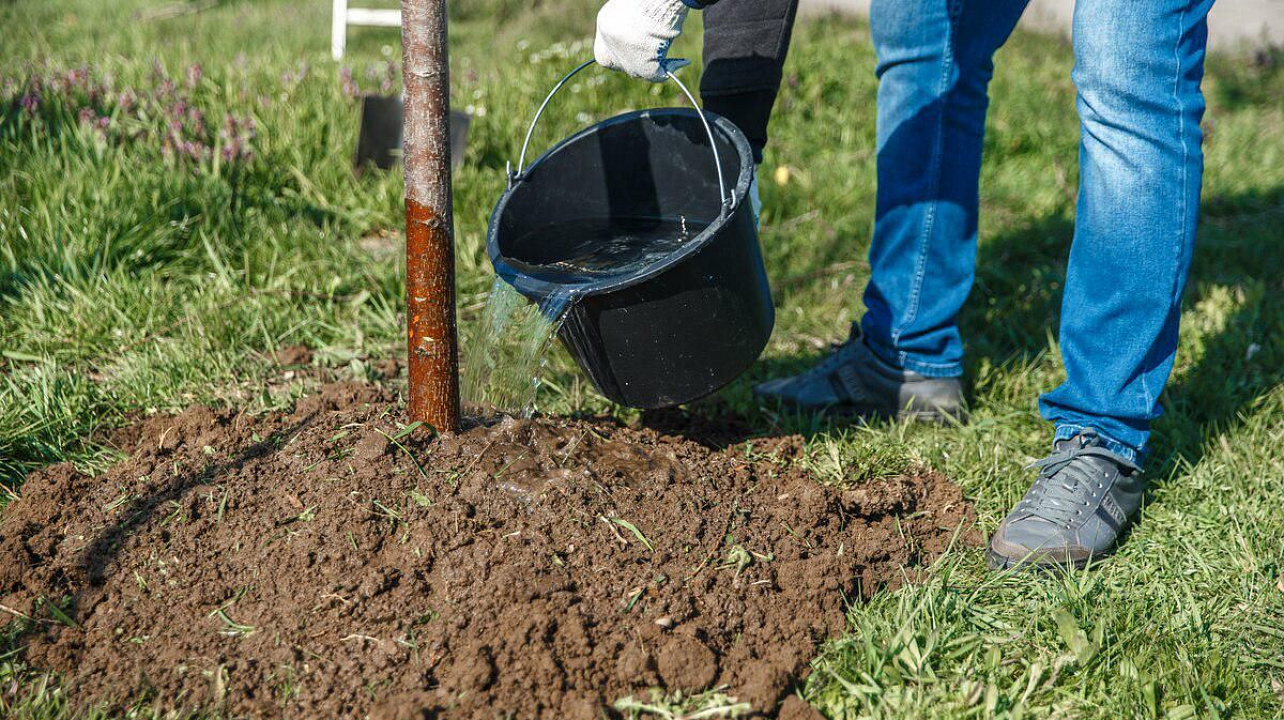 Фото: Даниил Коноплев