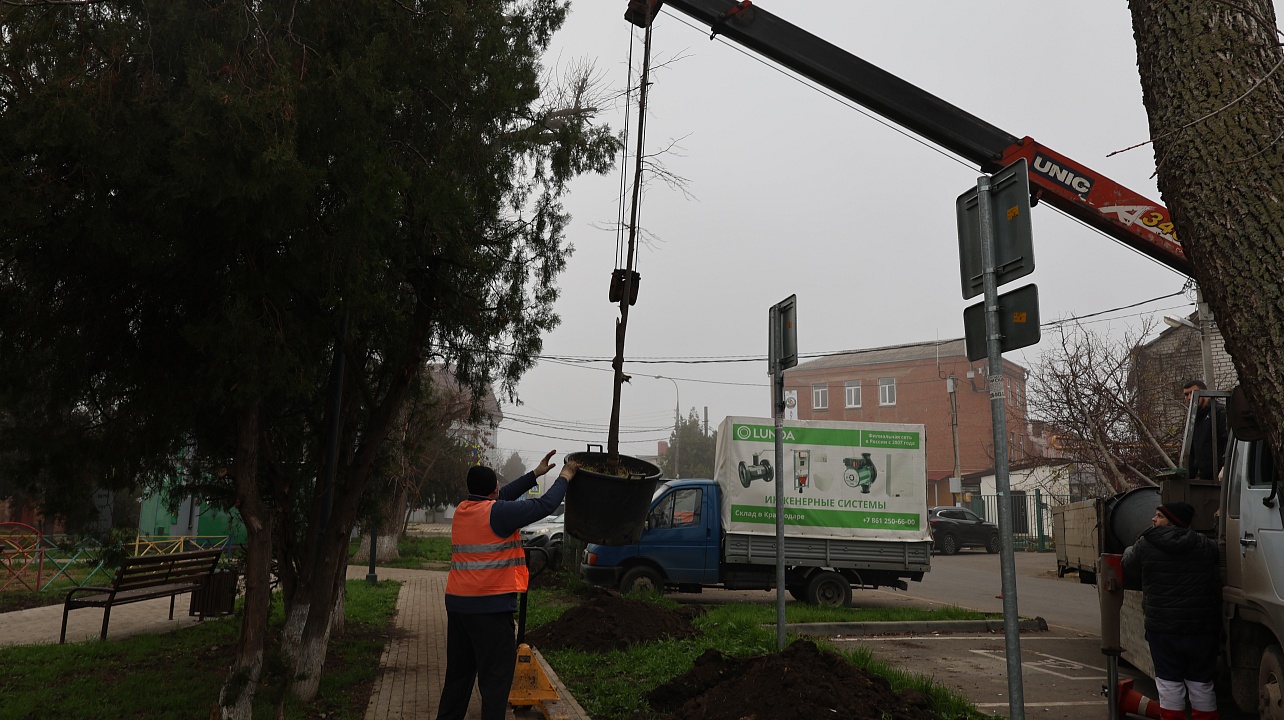 Фото: администрации Центрального округа