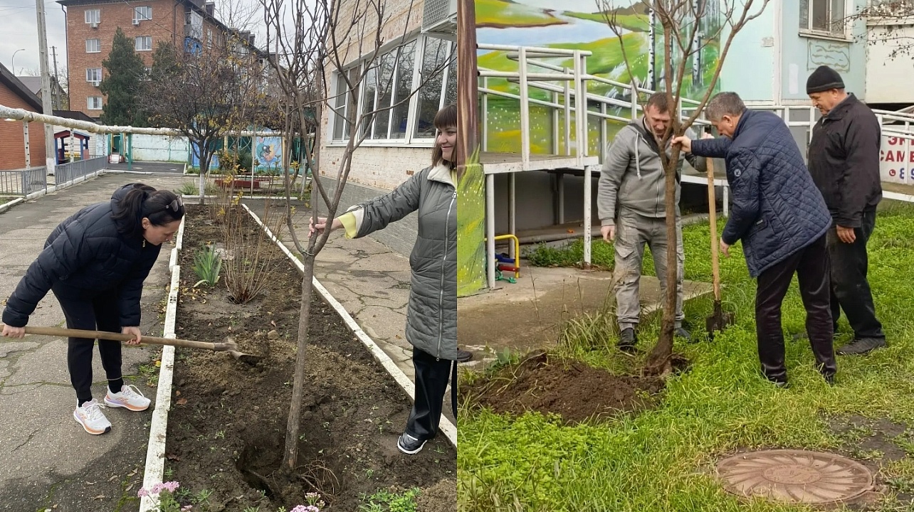 Фото: городская Дума Краснодара