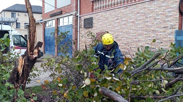 Спасатели убирают с улиц Краснодара упавшие деревья