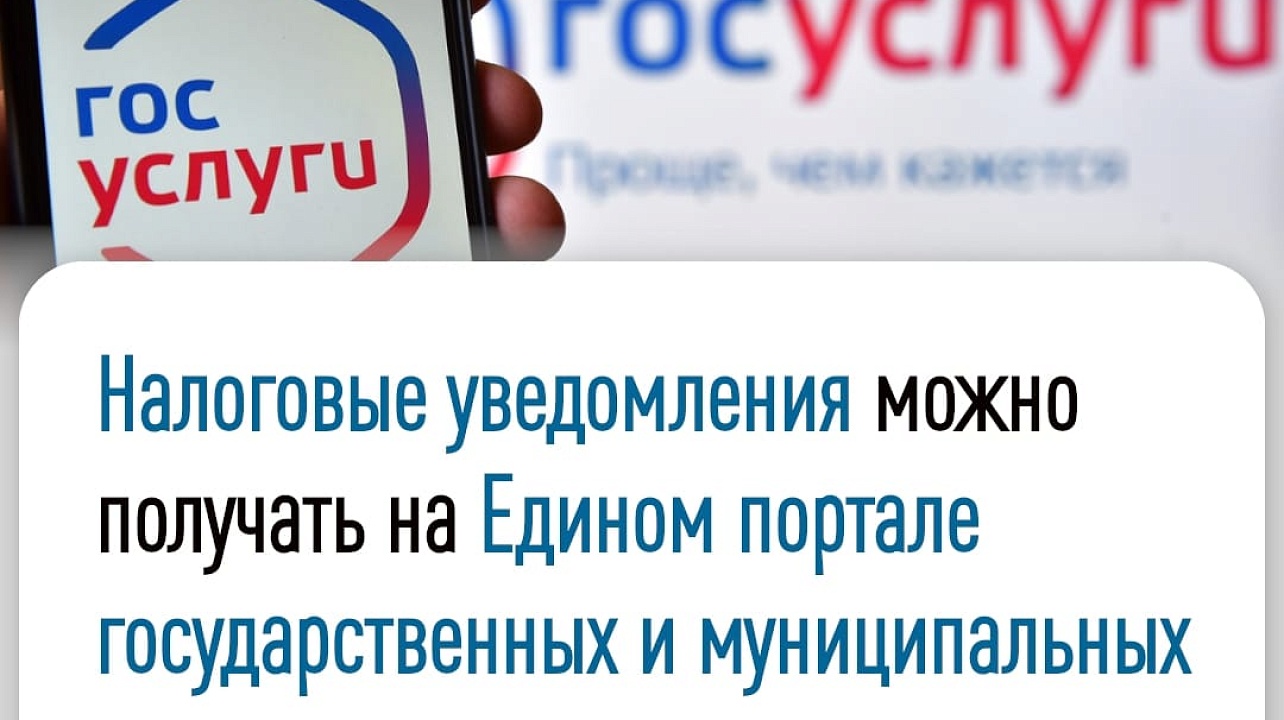 Фото: ИФНС России № 3 по г. Краснодару 