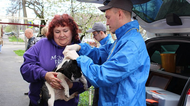Плановая вакцинация животных проведена в Центральном округе