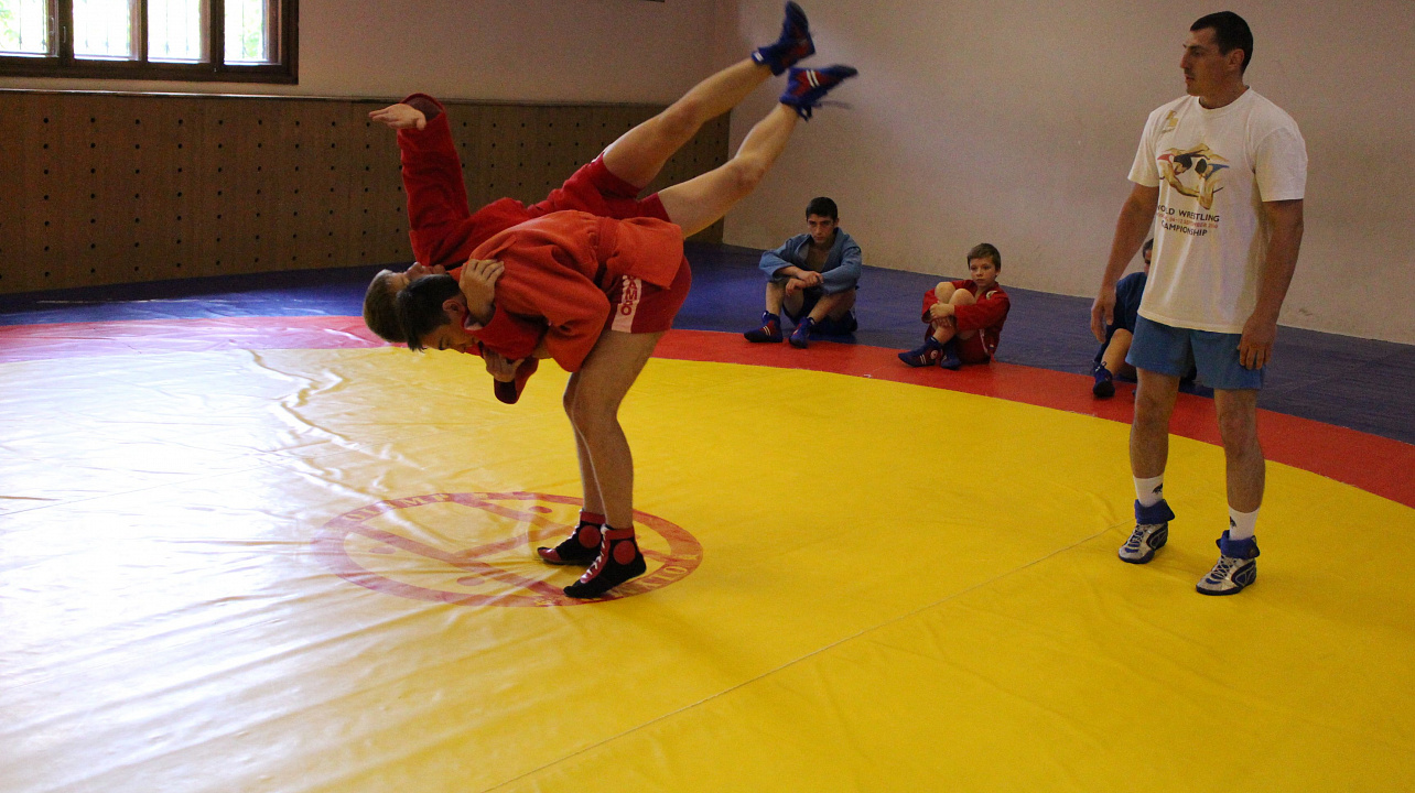 Самбо в ГТО