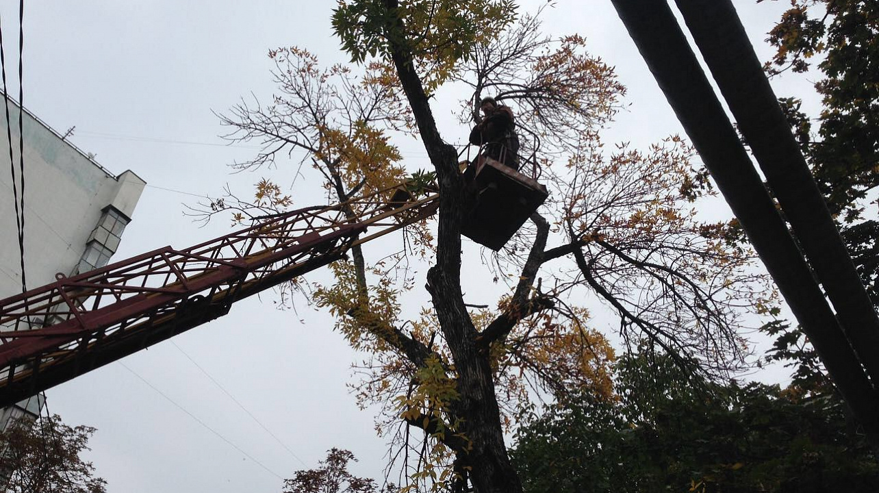 Администрация Западного округа информирует