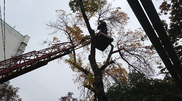 Администрация Западного округа информирует