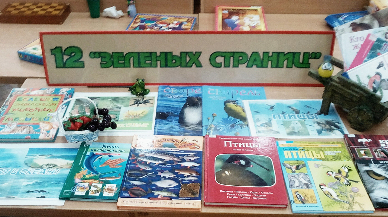 Экологический час провели для воспитанников детского сада Западного округа