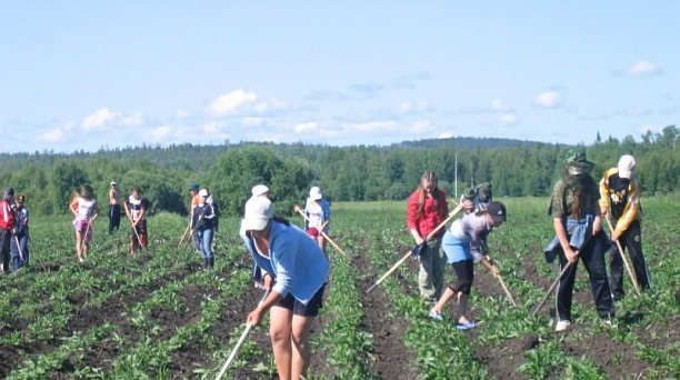 Около 300 учащихся Центрального округа трудились во время летних каникул