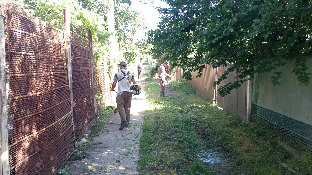 Фото: администрации Центрального округа