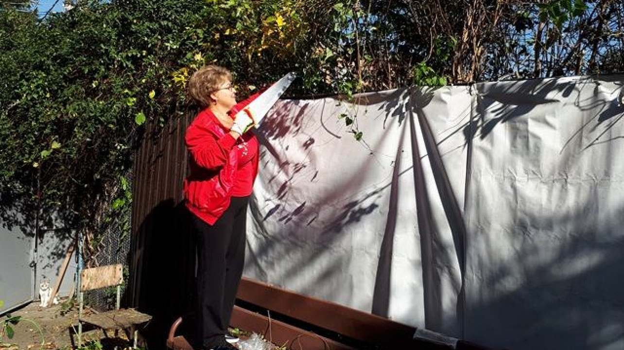 В Центральном округе прошел субботник