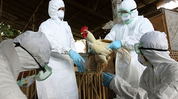 Администрация Западного округа информирует