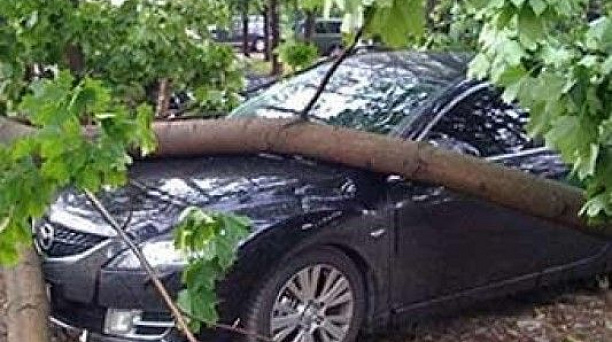 Сегодня вечером ожидается усиление ветра до 17 метров в секунду