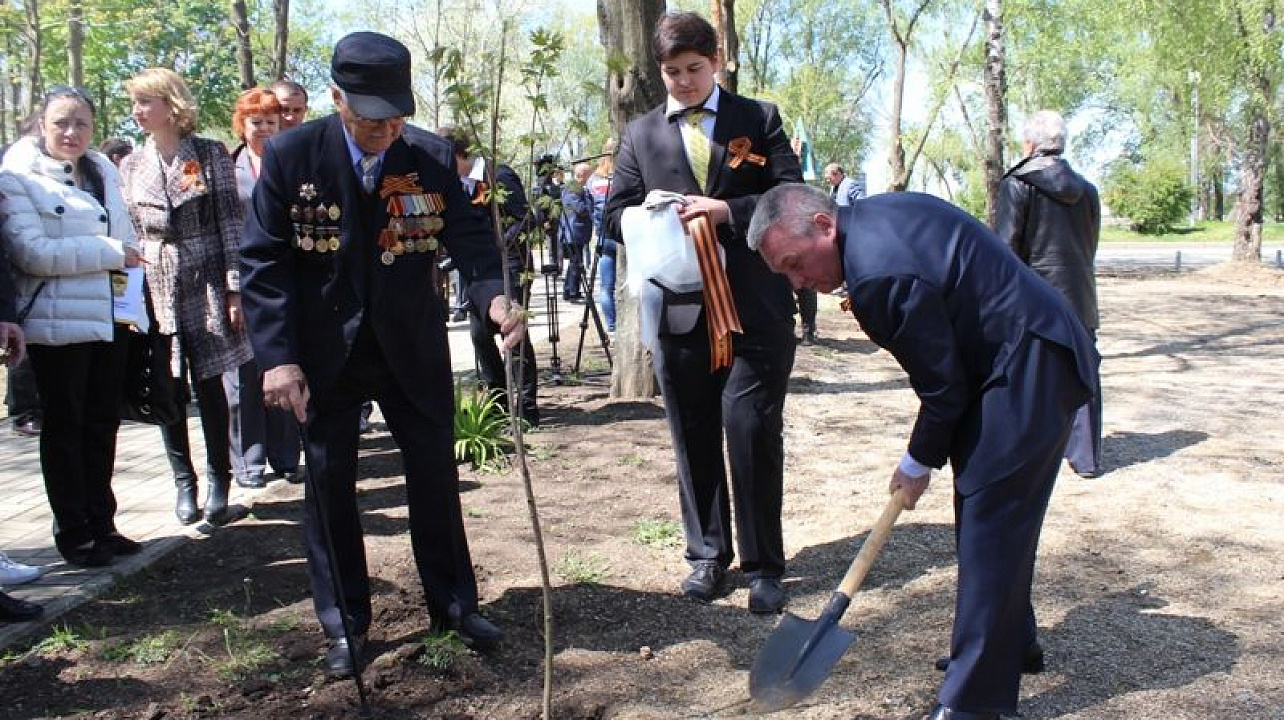 Ветераны Центрального округа приняли участие в акции «Зелёная волна»