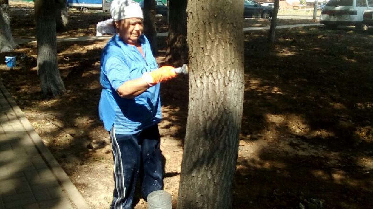 Жители избирательного округа № 19 провели санитарную пятницу на аллее вдоль ул. Им. Героя А.А. Аверкиева