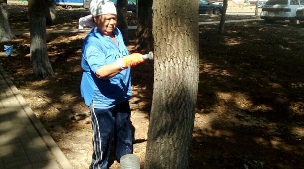 Жители ул. им. Героя Аверкиева организовали санитарную пятницу