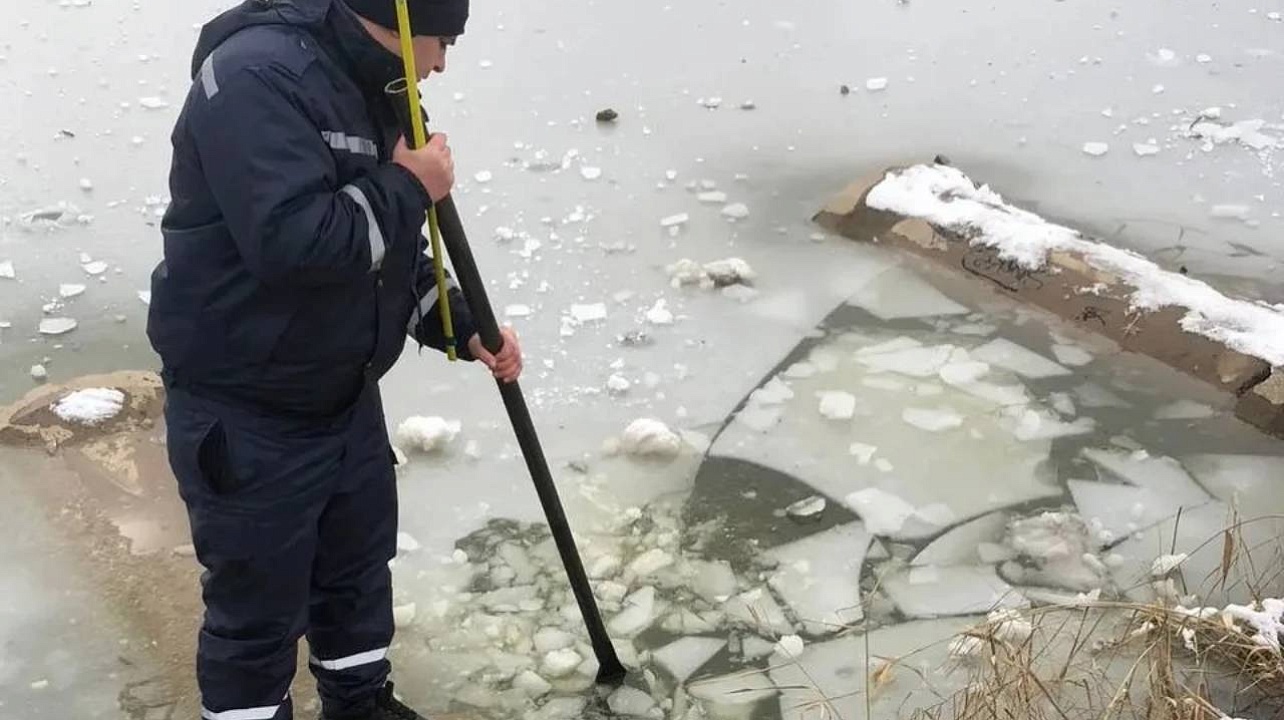 Фото: max.ru/emnaumov