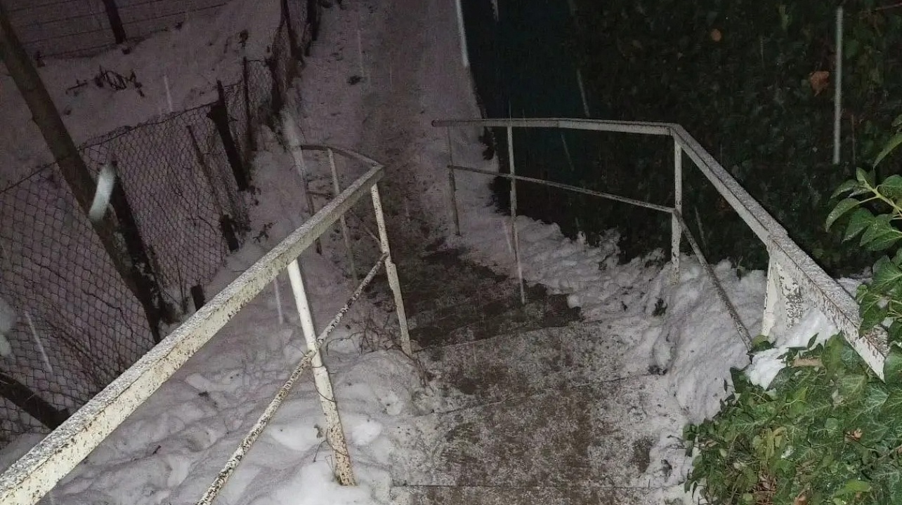 Фото: администрации Центрального округа