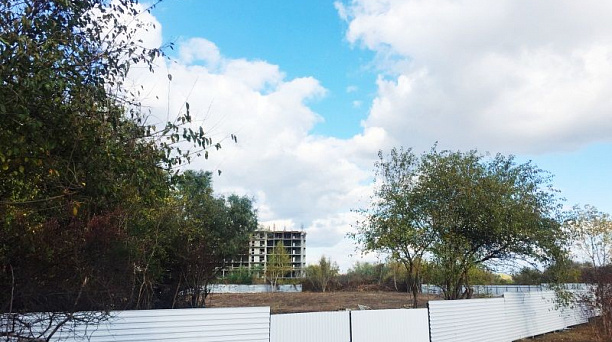 В микрорайоне Гидростроителей Краснодара из-за незаконной вырубки деревьев остановлено строительство жилого комплекса