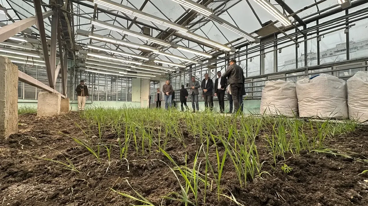 Фото: МТРК "Краснодар"