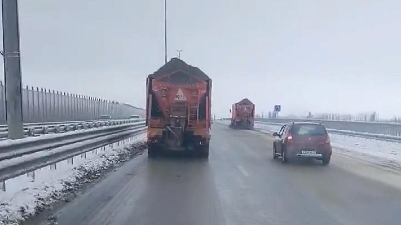 Фото: Пресс-служба администрации Краснодара