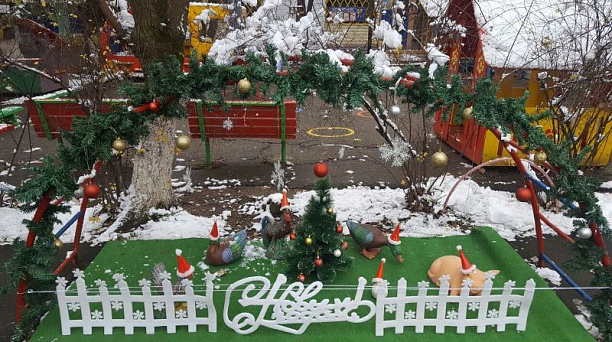 В Центральном округе назвали образовательные учреждения с лучшим новогодним оформлением