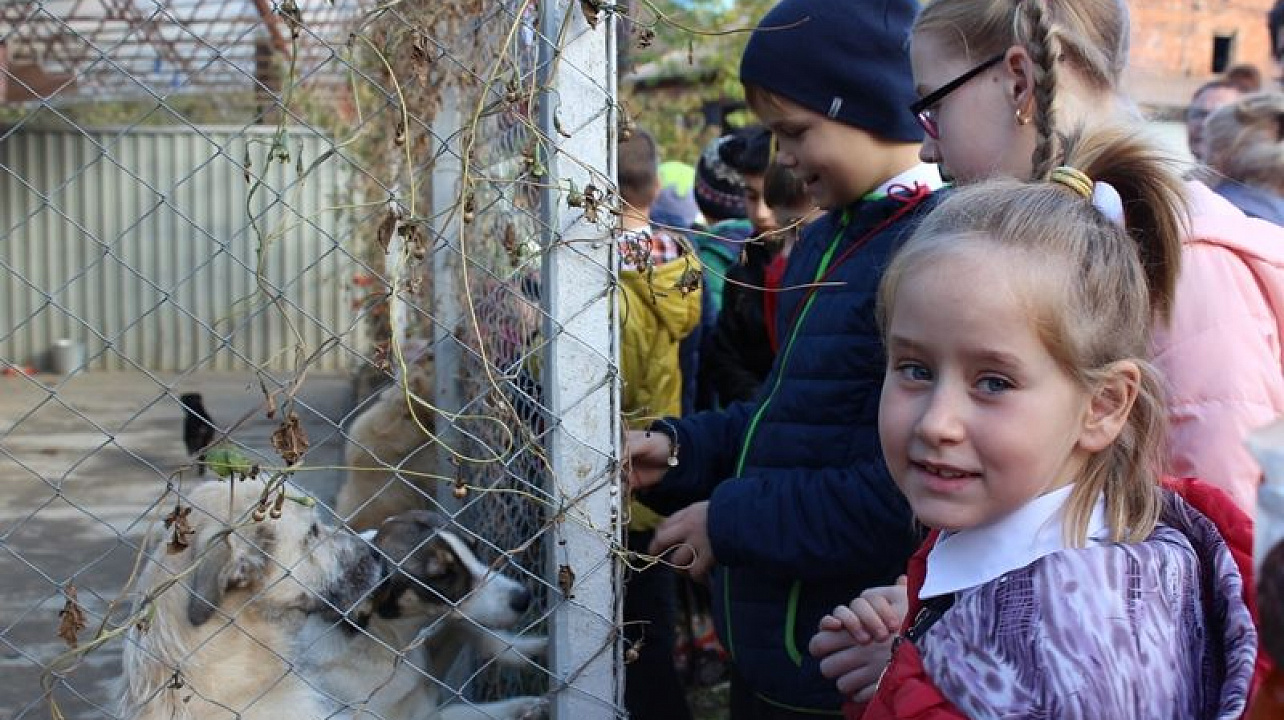 «Новогодний день добра»
