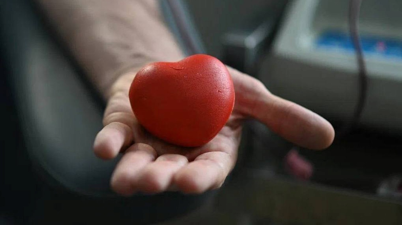 Фото: Пресс-служба администрации Краснодара