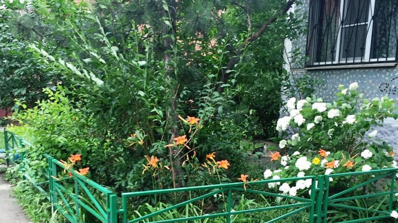 В Западном округе продолжается выполнение наказов избирателей