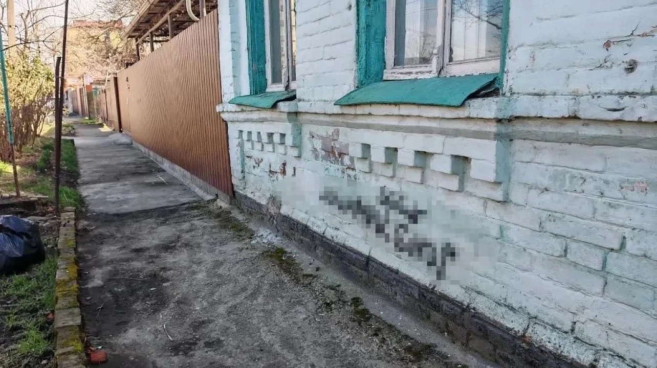 Фото: Молодежный Совет Карасунского округа