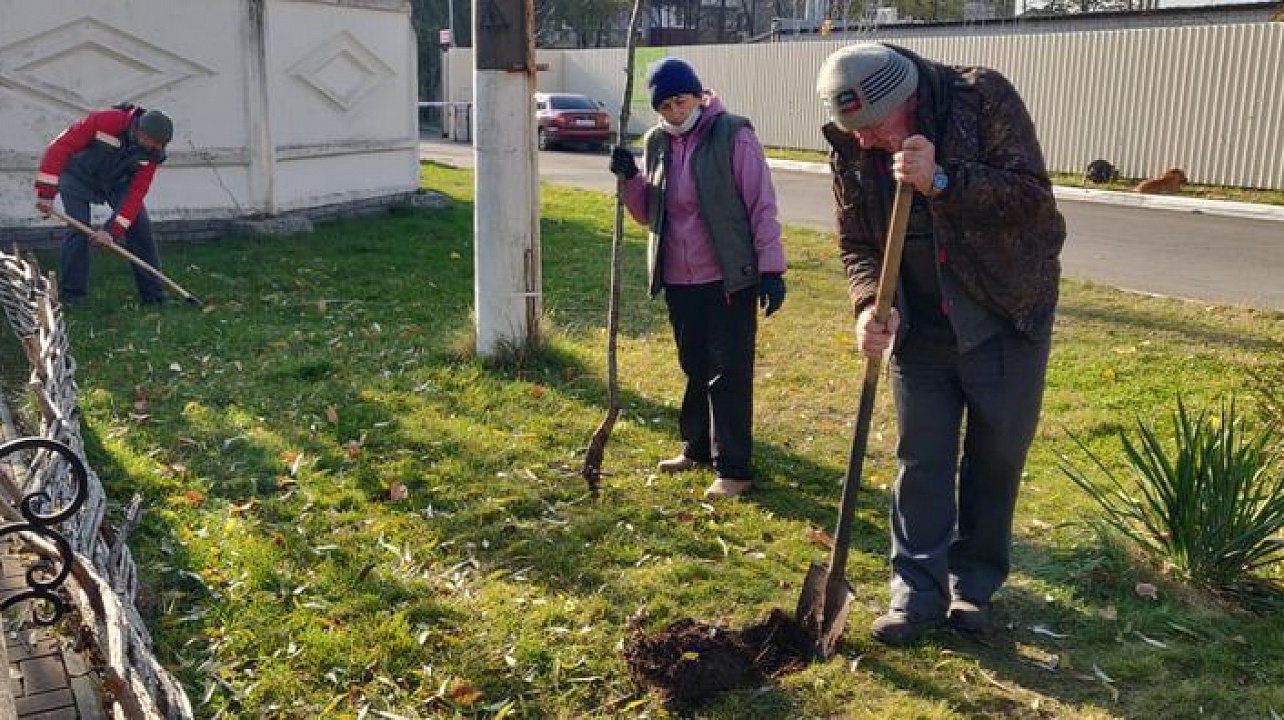 В Центральном округе продолжается акция «Краснодару -10 000 деревьев»