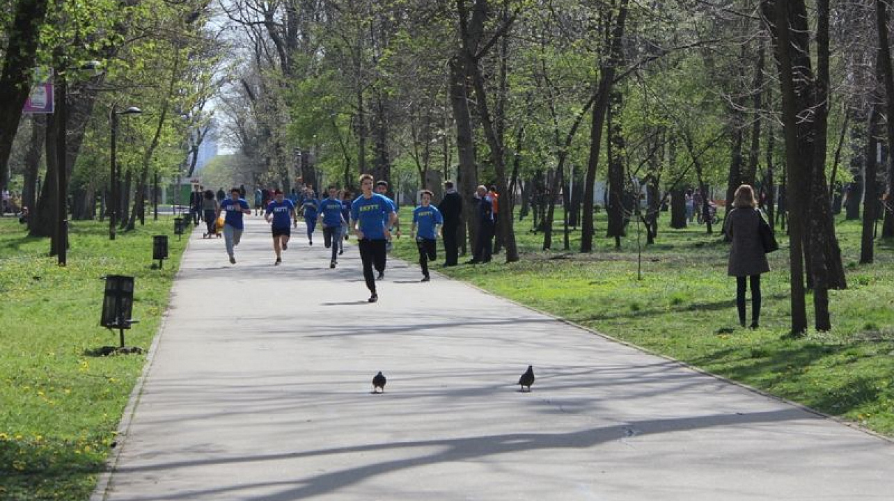 В Центральном округе прошел спортивный праздник