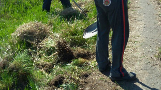 Жители поселка Демьяна Бедного навели порядок в сквере «Дружба»