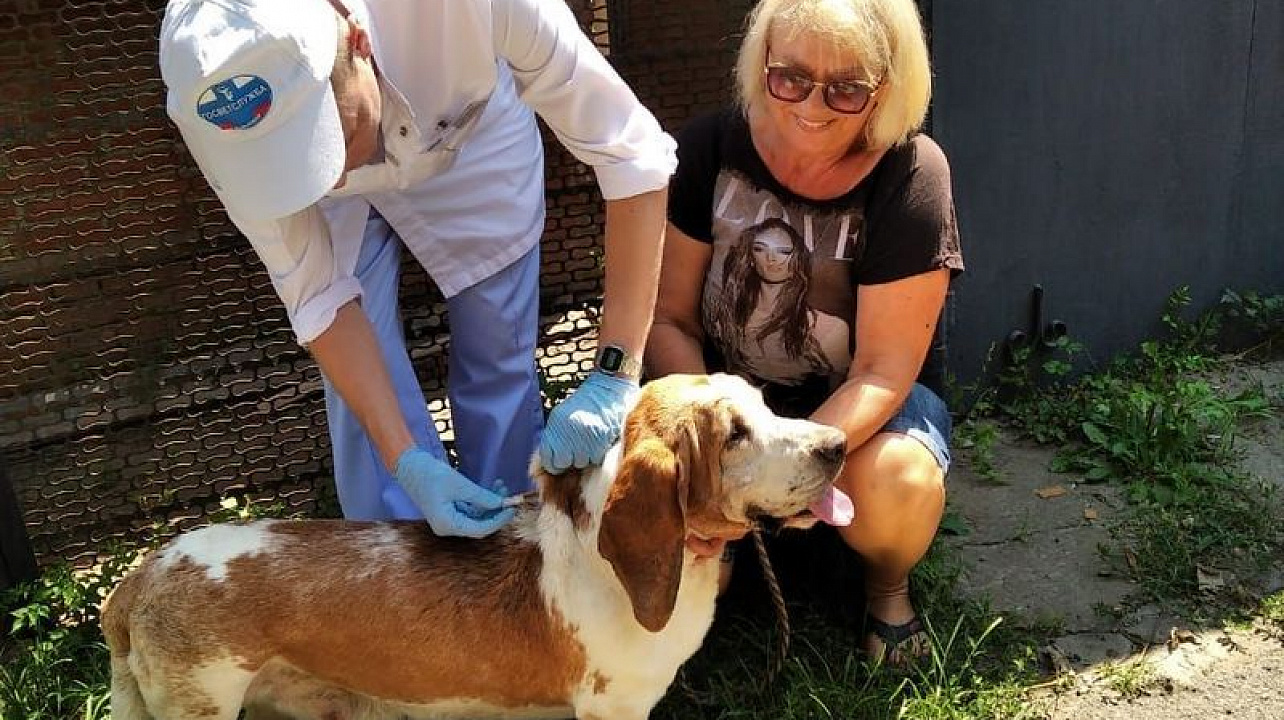 В Центральном округе прошла вакцинация животных