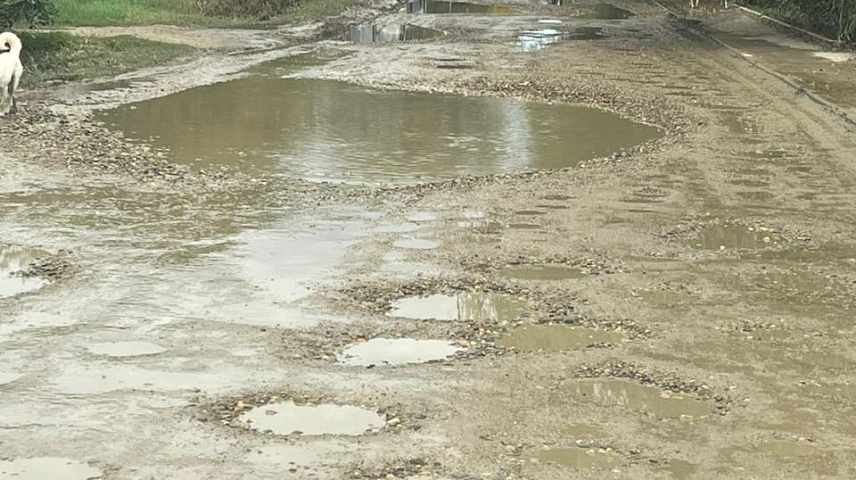 Фото: Шаблин М.С.