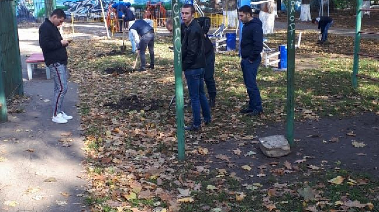 В сквере «Майский» на ул. Совхозной высадили липы