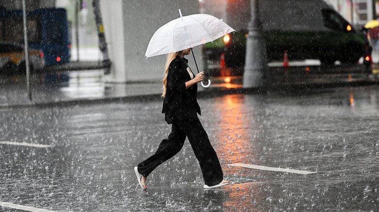 фото: https://dzen.ru/a/Z-gZBus0JXSS5JGk